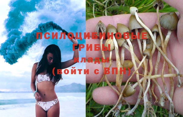 амф Елизово