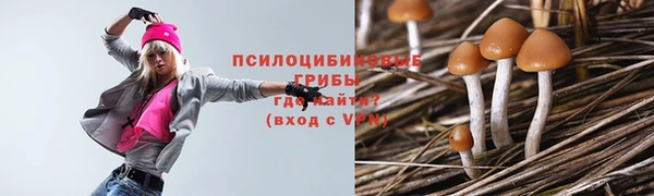 гашик Дмитриев
