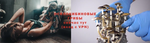 гашик Дмитриев
