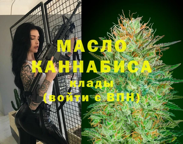 гашик Дмитровск