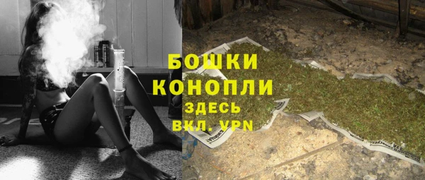 бошки Ельня
