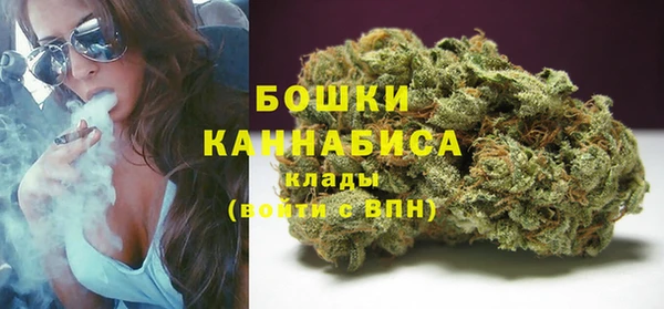 гашик Чегем