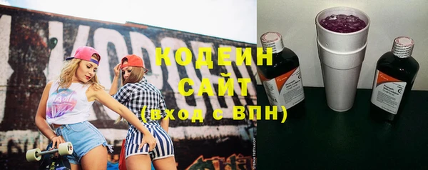 гашик Дмитровск