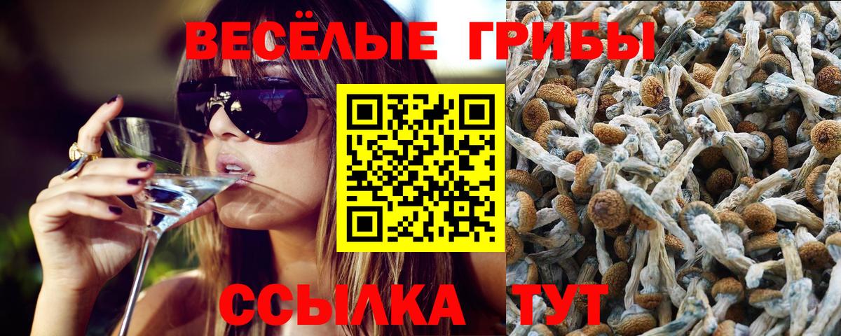 Галлюциногенные грибы GOLDEN TEACHER  Вход с VPN  Ялуторовск 