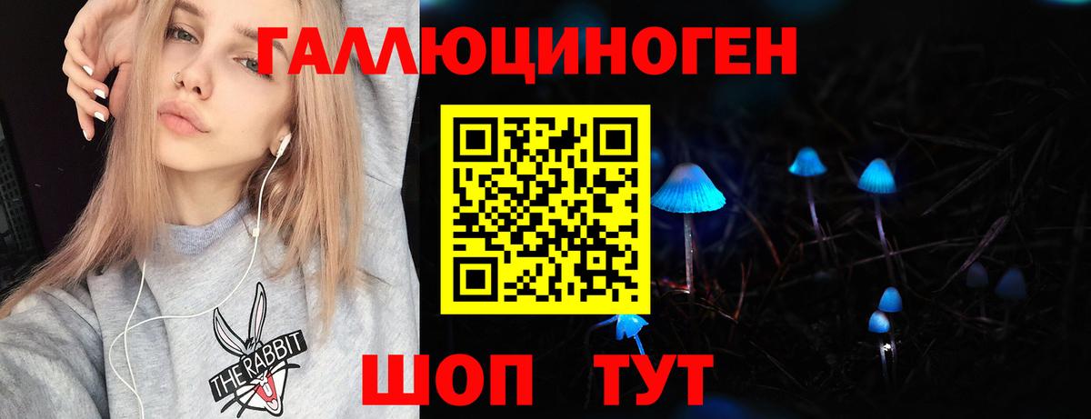 Псилоцибиновые грибы мицелий Ялуторовск